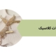 کلپیس مجلسی مناسب برای مهمانی | فروشگاه بدلیجات کلاسیک